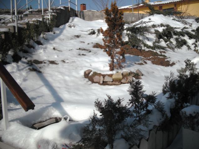 Name:  DSCF2017.jpg
Views: 2223
Size:  51.9 KB