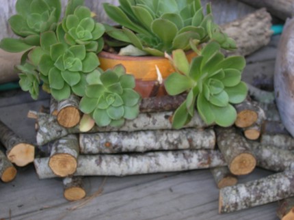 Name:  shabby-chic-garden-planter.jpg
Views: 47427
Size:  33.8 KB