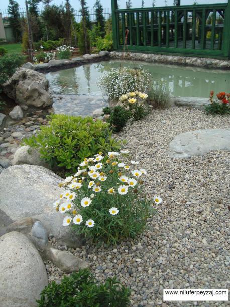 Name:  N. Peyzaj Resim 413.jpg
Views: 2767
Size:  75.0 KB