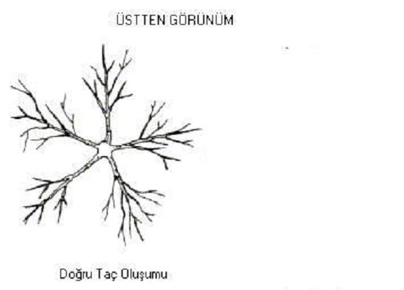 Name:  Budama bakm 83.JPG
Views: 8672
Size:  16.3 KB