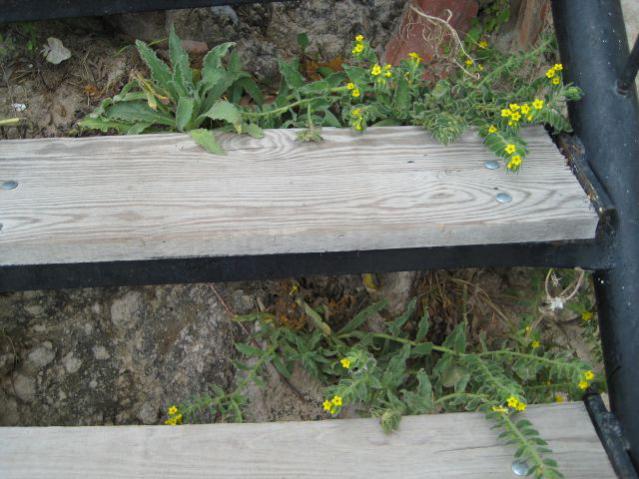 Name:  IMG_5509.jpg
Views: 6541
Size:  53.3 KB