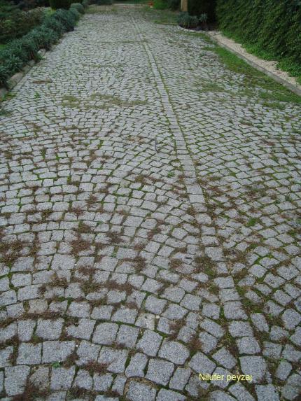 Name:  N. Peyzaj Resim 429.jpg
Views: 4152
Size:  70.9 KB