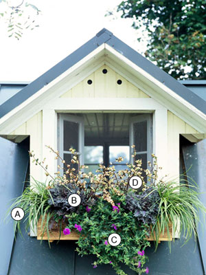Name:  dress_up_a_dormer.jpg
Views: 2609
Size:  42.7 KB