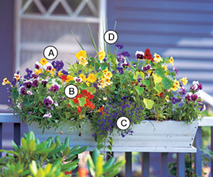 Name:  deck_planting_take_two.jpg
Views: 2583
Size:  30.7 KB