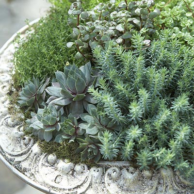 Name:  in-town-grdns-rubenstein-l.jpg
Views: 2069
Size:  60.1 KB