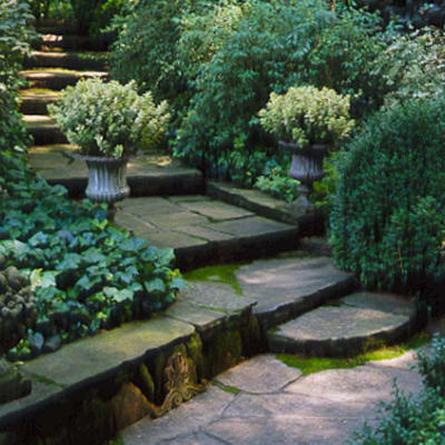 Name:  carithers-garden-s4-l.jpg
Views: 3031
Size:  43.5 KB