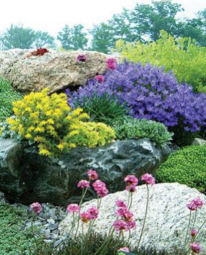 Name:  122_American_rock_garden.jpg
Views: 9494
Size:  36.5 KB