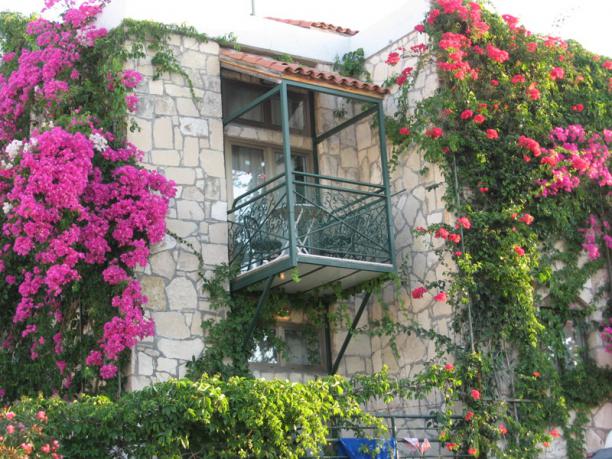 Name:  denizyildizlari_058.jpg
Views: 9845
Size:  71.9 KB