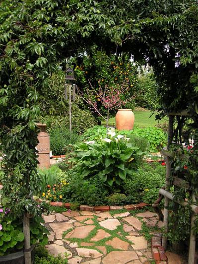 Name:  house and cat 002.jpg
Views: 9488
Size:  68.7 KB