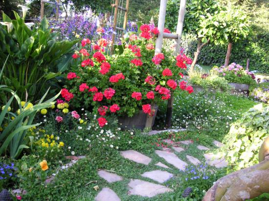Name:  PICT0011.jpg
Views: 9354
Size:  73.1 KB