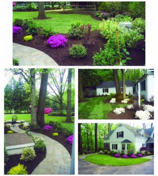 Name:  1plantings.jpg
Views: 8253
Size:  67.8 KB