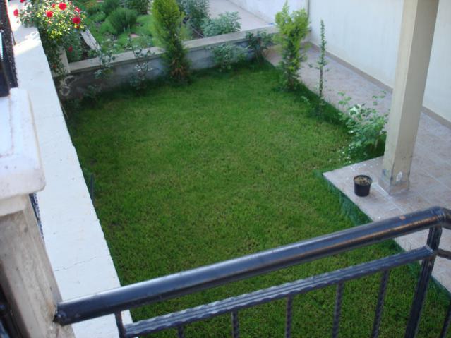 Name:  DSC04582.jpg
Views: 5697
Size:  46.1 KB