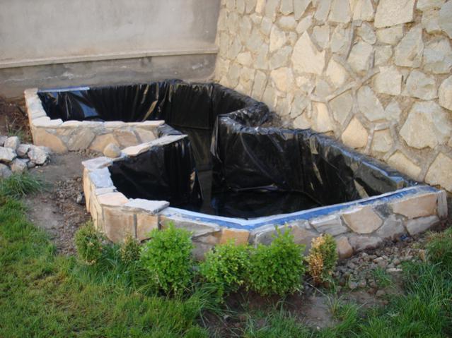 Name:  DSC04586.jpg
Views: 5748
Size:  54.2 KB