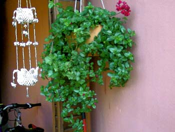 Name:  Photo-0011.jpg
Views: 24061
Size:  47.5 KB