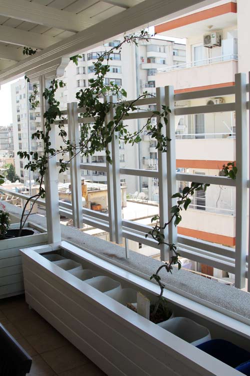 Name:  ciceklik3.jpg
Views: 6025
Size:  58.8 KB