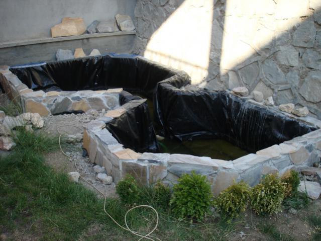 Name:  01.jpg
Views: 5957
Size:  49.0 KB