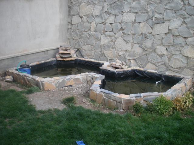 Name:  DSC05125.jpg
Views: 5385
Size:  46.4 KB