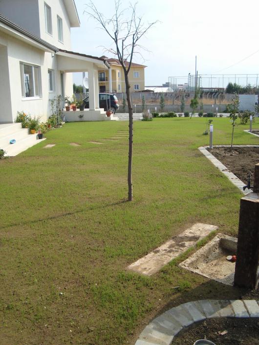 Name:  N. Peyzaj Resim 478.jpg
Views: 2366
Size:  70.0 KB