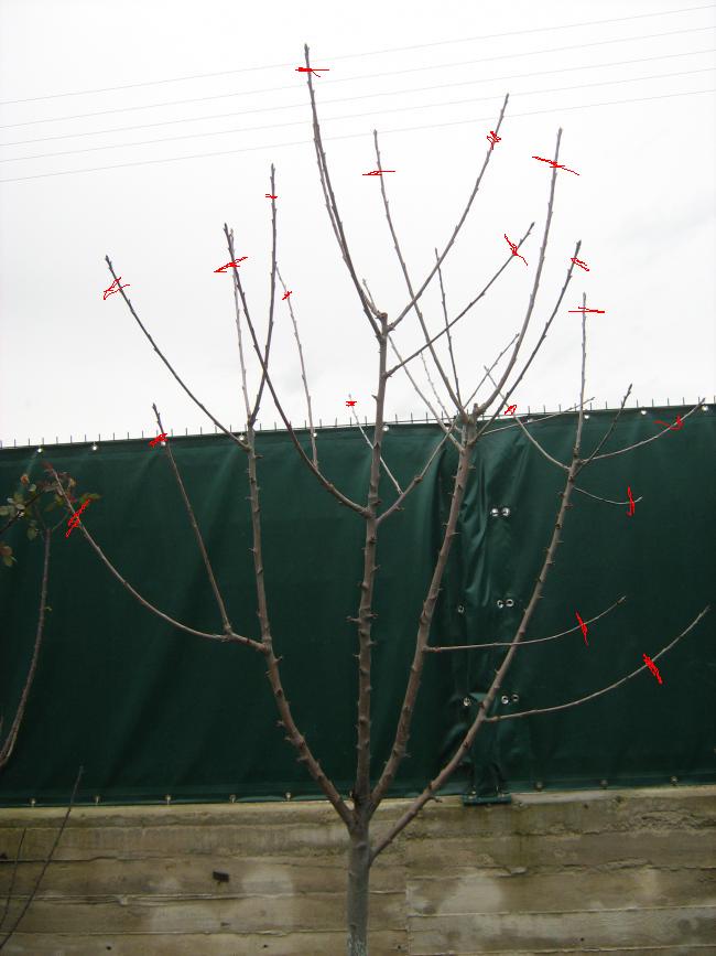 Name:  ADNAN%~4.jpg
Views: 3536
Size:  54.7 KB