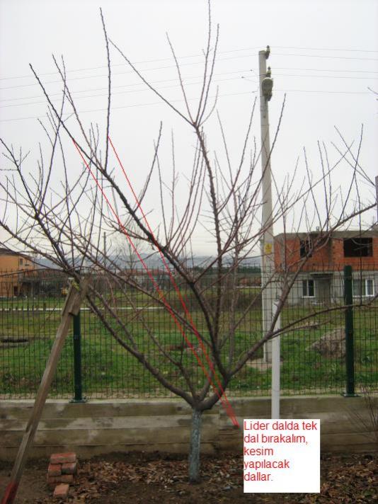 Name:  AD4822~1.jpg
Views: 3578
Size:  65.7 KB