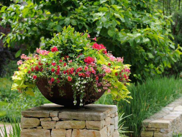 Name:  iStock-9798640_container-garden-calibrachoa-petunia-sweet-potato-flowers_s4x3_lg.jpg
Views: 3327
Size:  64.1 KB