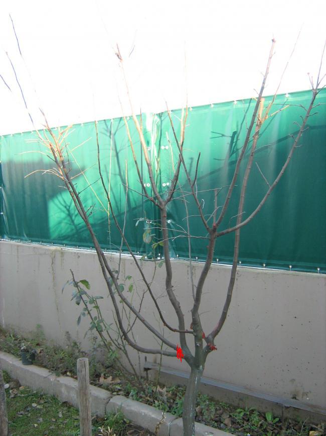 Name:  BUDAMA%20007.jpg
Views: 2748
Size:  65.3 KB