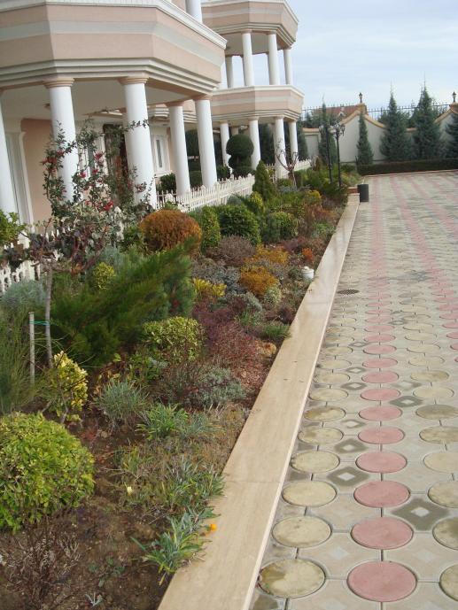 Name:  N. Peyzaj Resim 480.jpg.jpg
Views: 5958
Size:  72.8 KB
