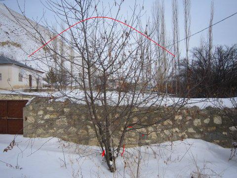 Name:  IMG_0595.JPG
Views: 2956
Size:  57.0 KB