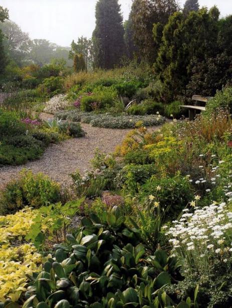 Name:  gravel garden after_steve wooster2.jpg
Views: 4168
Size:  71.8 KB