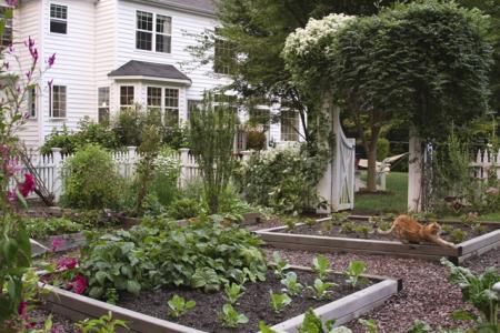 Name:  sus-sebze-bahcesi-RobinRipleysPotagerGarden3.jpg
Views: 8126
Size:  38.3 KB
