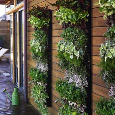 Name:  living-wall-large-vertical-garden-3.jpg
Views: 6835
Size:  65.9 KB