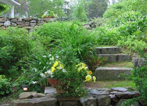 Name:  garden_steps.jpg
Views: 941
Size:  45.7 KB