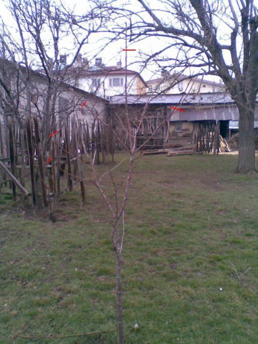 Name:  28032012(001)%20Beyaz%20kiraz%202.jpg
Views: 2462
Size:  68.5 KB