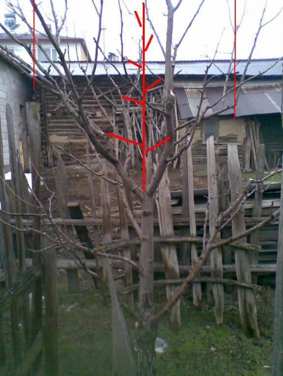 Name:  280320~1.jpg
Views: 3989
Size:  66.7 KB
