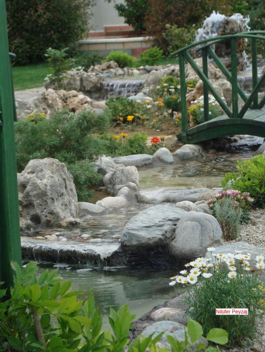 Name:  N. Peyzaj Resim 487.jpg.jpg
Views: 2145
Size:  74.0 KB