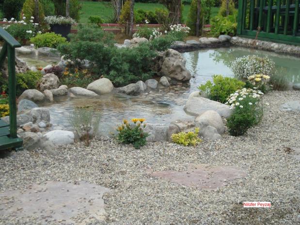 Name:  N. Peyzaj Resim 488.jpg.jpg
Views: 2060
Size:  70.2 KB