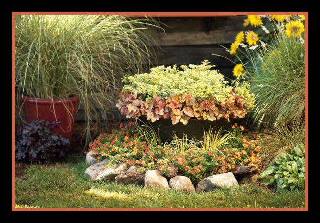 Name:  autumn2009.jpg
Views: 5548
Size:  69.6 KB