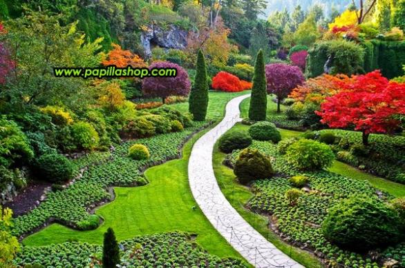 Name:  524630_366649646704352_335252883177362_927425_615296259_n.jpg
Views: 7367
Size:  70.5 KB