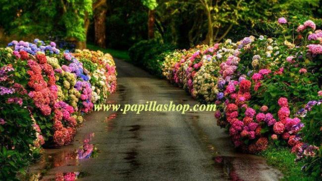 Name:  389262_364836116885705_335252883177362_921638_1505972200_n.jpg
Views: 5838
Size:  60.6 KB