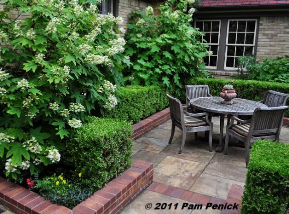 Name:  15_Oakleaf_hydrangea_&_patio_seating.jpg
Views: 4793
Size:  72.0 KB
