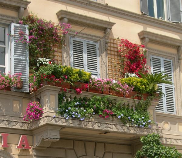 Name:  inspirations-of-green-balcony.jpeg
Views: 2089
Size:  68.4 KB