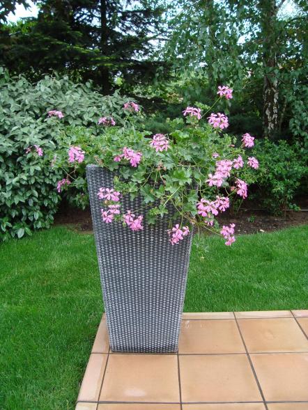 Name:  N. Peyzaj Resim 496.jpg.jpg
Views: 1624
Size:  73.4 KB