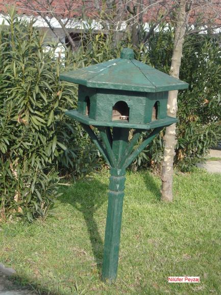 Name:  N. Peyzaj Resim 500.jpg.jpg
Views: 1936
Size:  73.0 KB