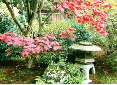 Name:  japonbahesi.jpg
Views: 5777
Size:  51.8 KB