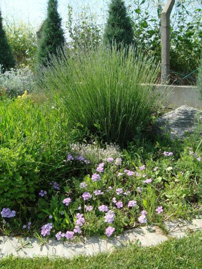 Name:  N. Peyzaj Resim 509.jpg.jpg
Views: 2704
Size:  71.3 KB