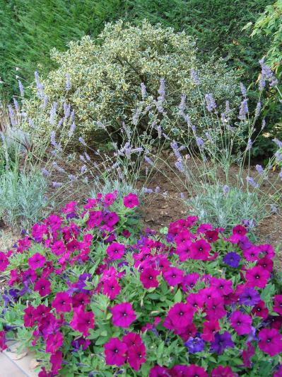 Name:  N. Peyzaj Resim 516.jpg.jpg
Views: 2183
Size:  73.8 KB