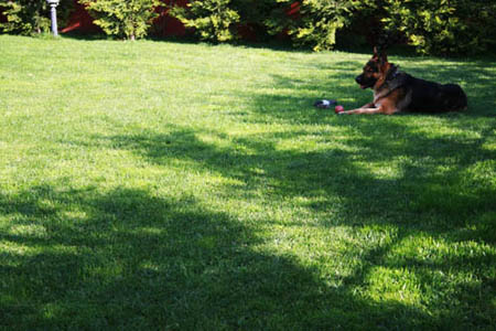 Name:  IMG_0523.JPG
Views: 5410
Size:  60.5 KB