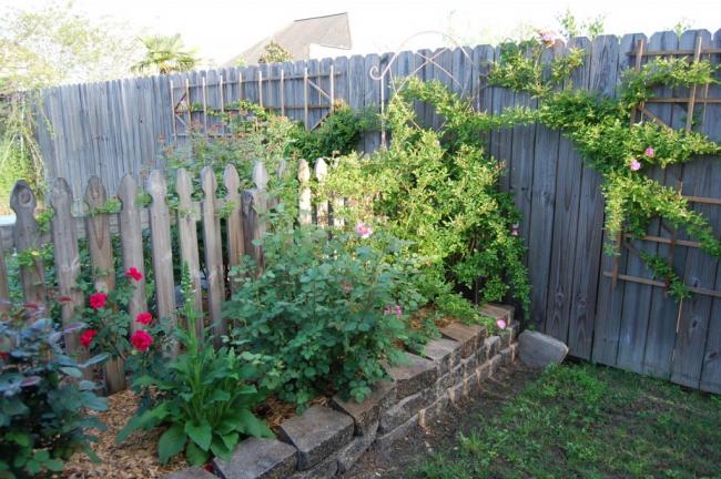 Name:  cornergarden1-1024x680.jpg
Views: 48715
Size:  64.7 KB