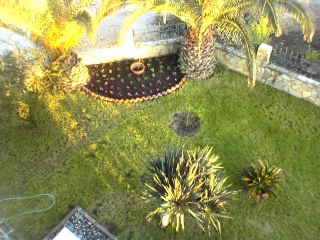 Name:  garden.jpg
Views: 50290
Size:  68.4 KB