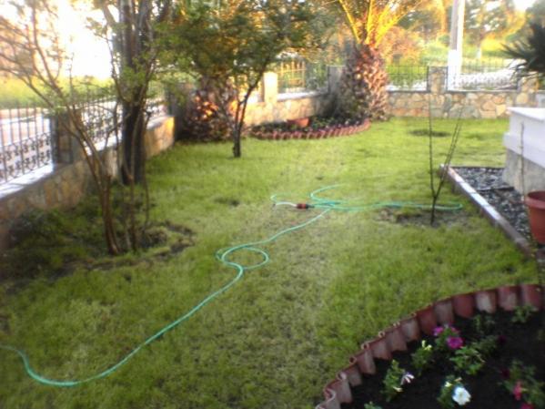 Name:  design.jpg
Views: 50079
Size:  47.0 KB